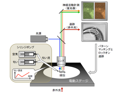 経緯